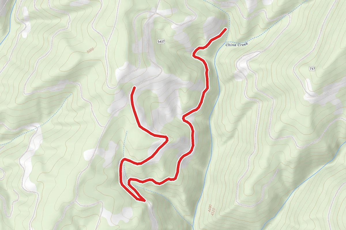 China Switchback