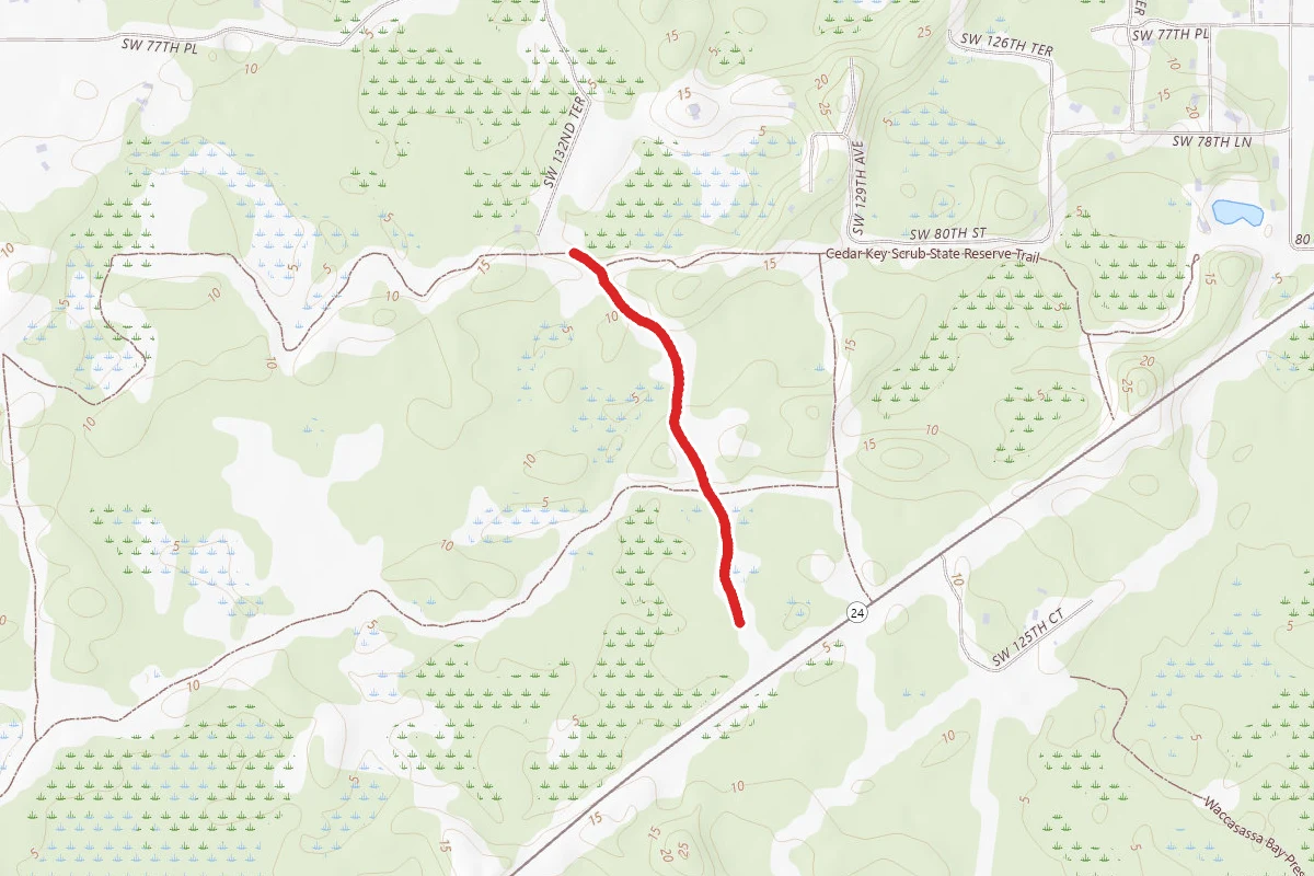 Park Trail 2