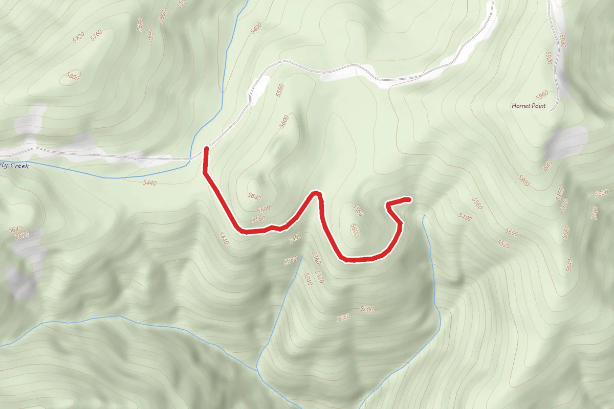 Fly Creek Saddle