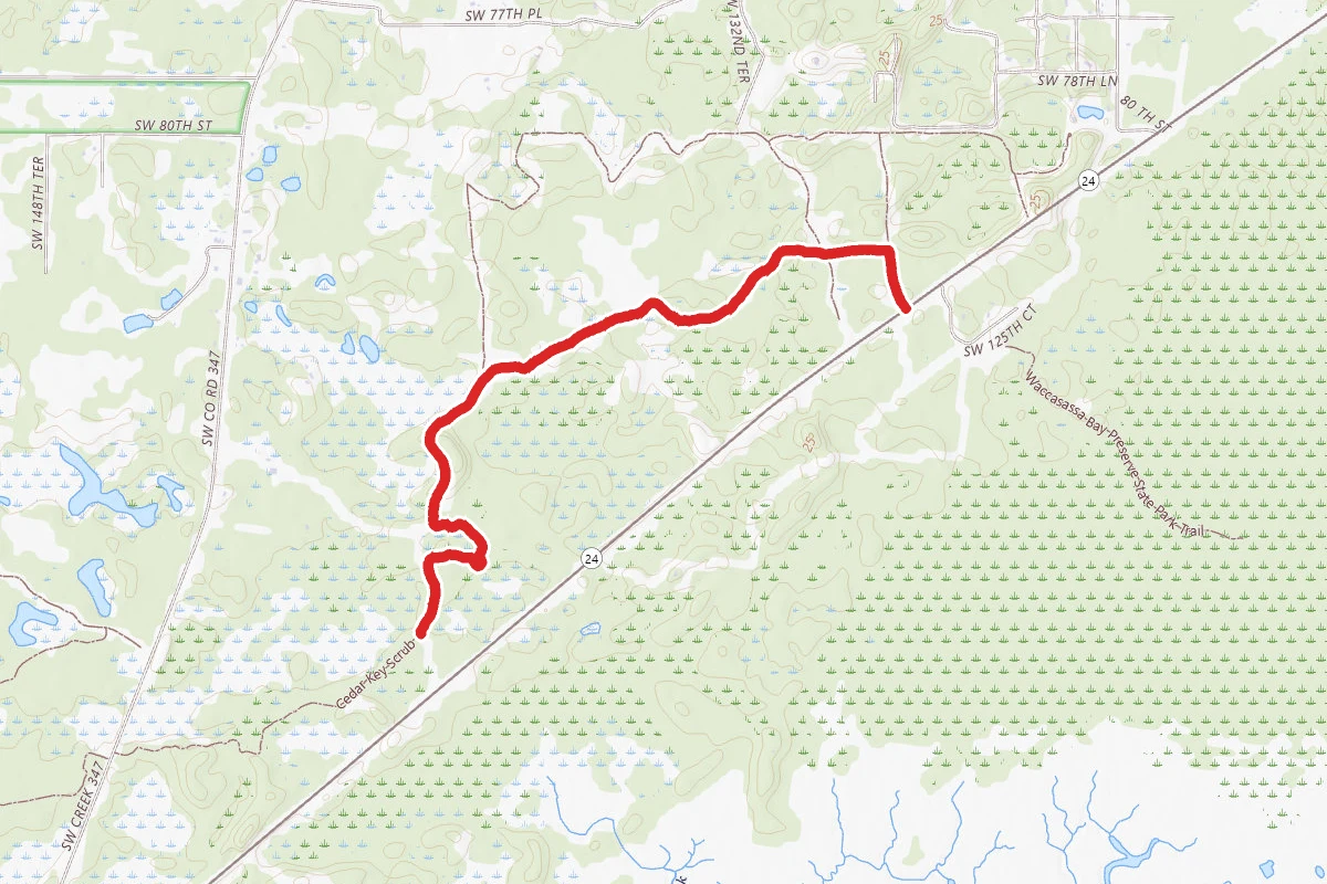 Park Trail 3