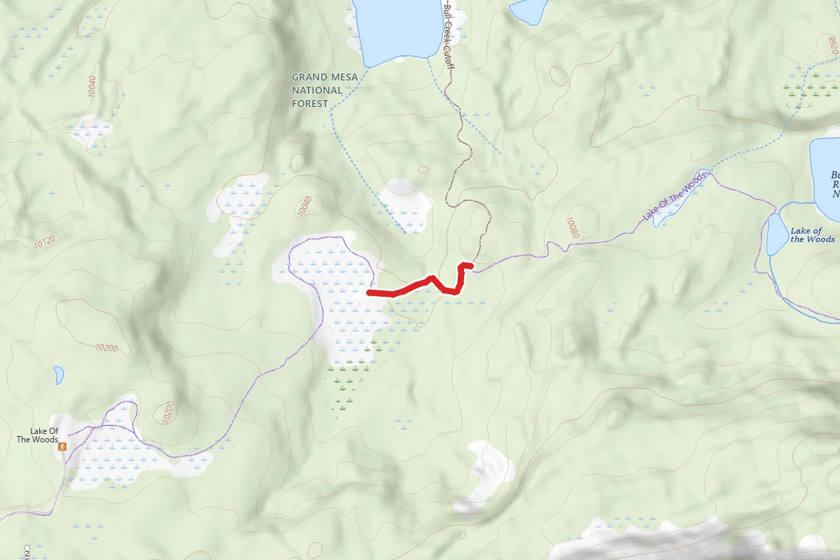 Lake of the Woods Trail