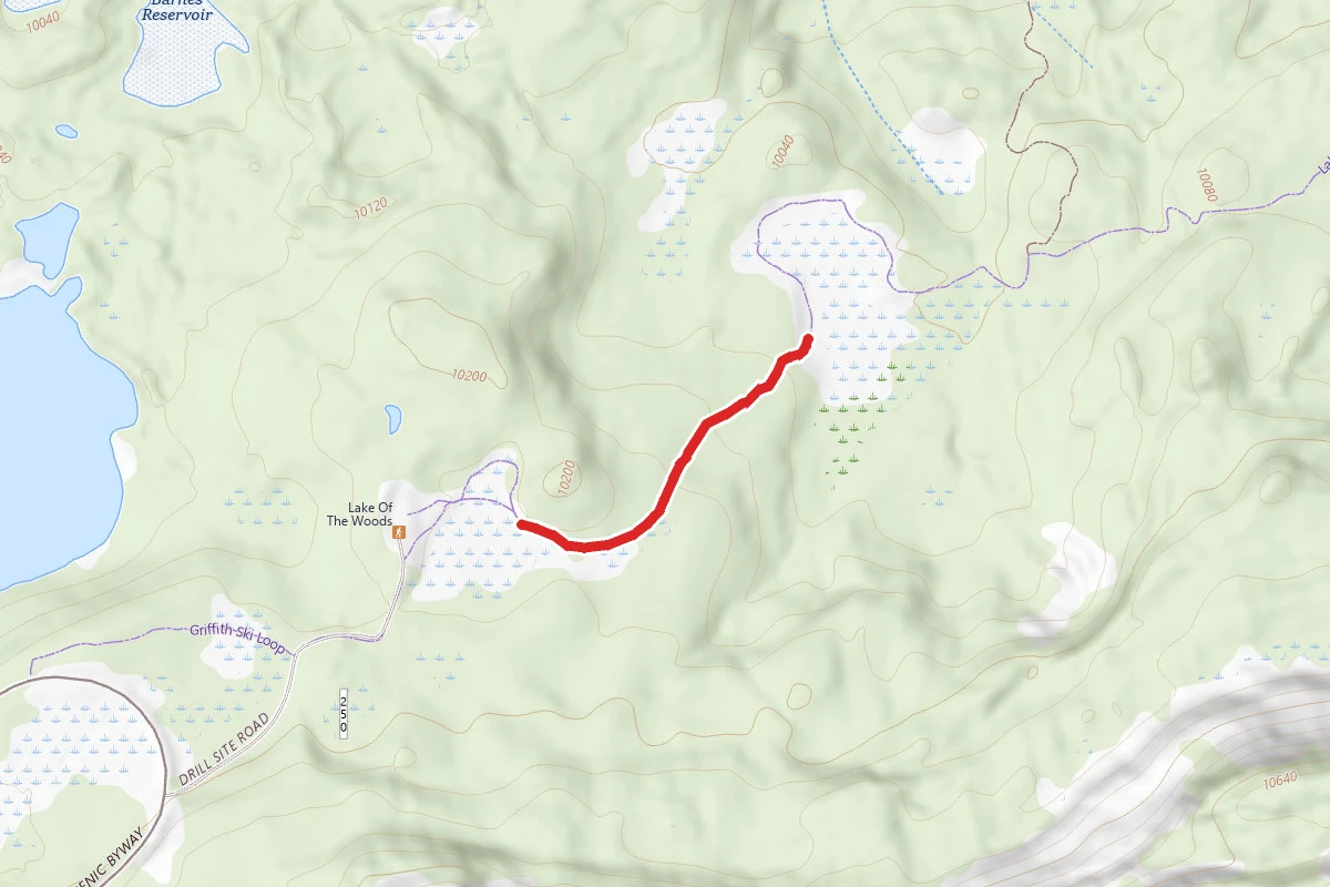 Lake of the Woods Trail