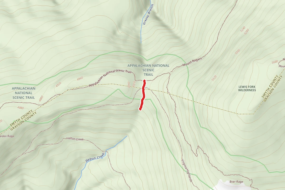 Deep Gap Spring - Forest Trail 4647