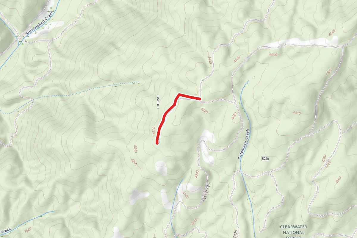 Ridge