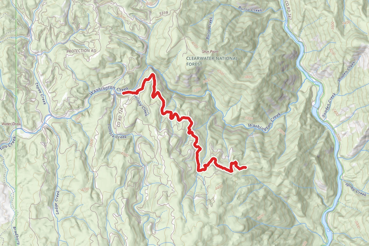 Hornby Creek