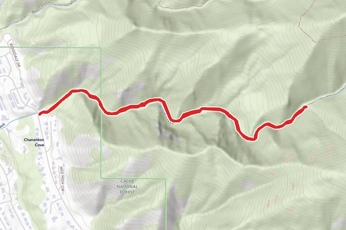 Burch Creek Trail