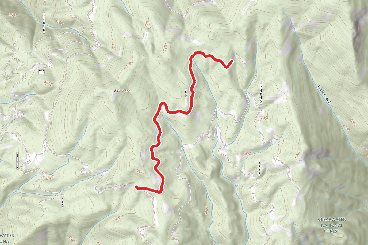 Bald Knob