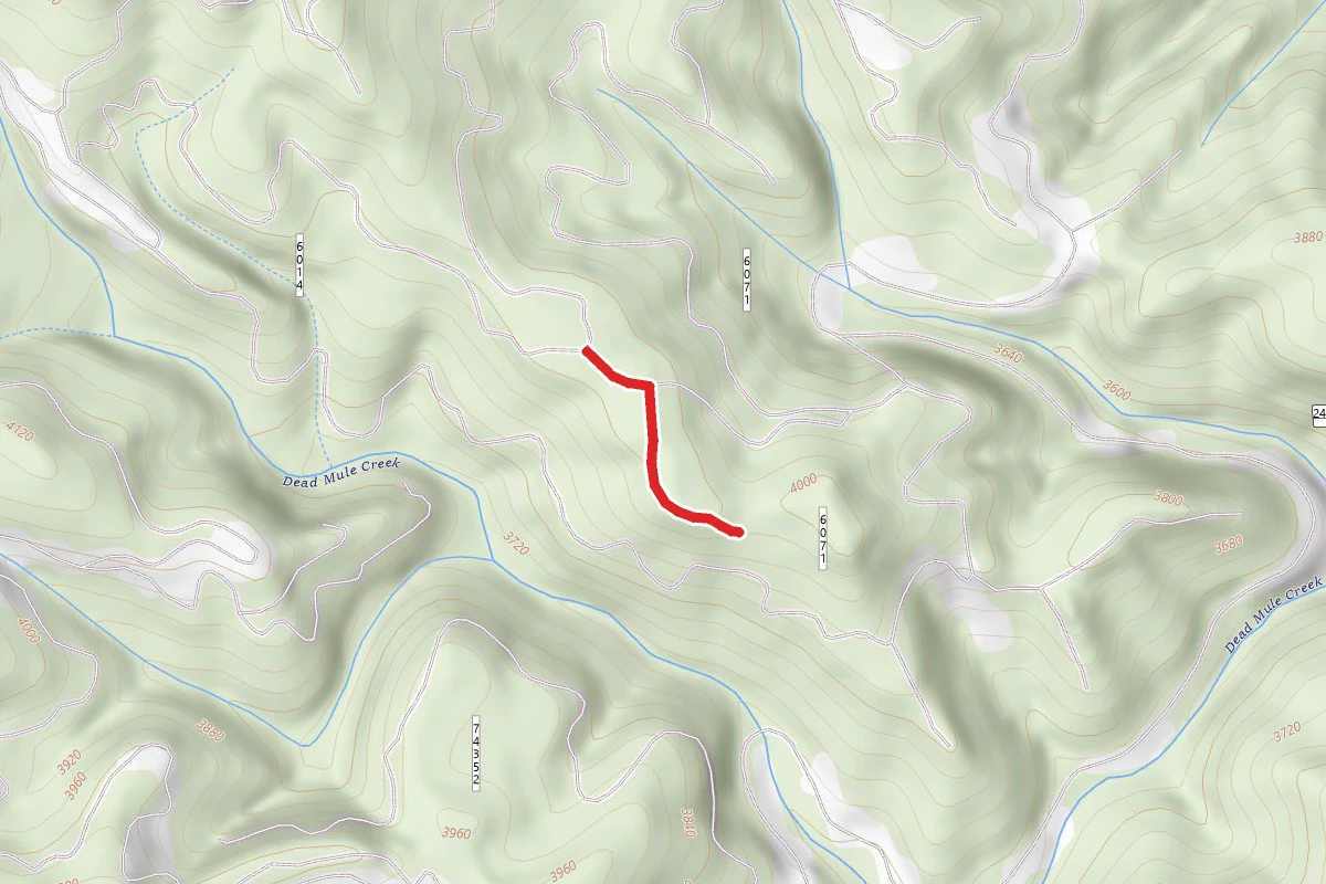 Deadhorse Creek A