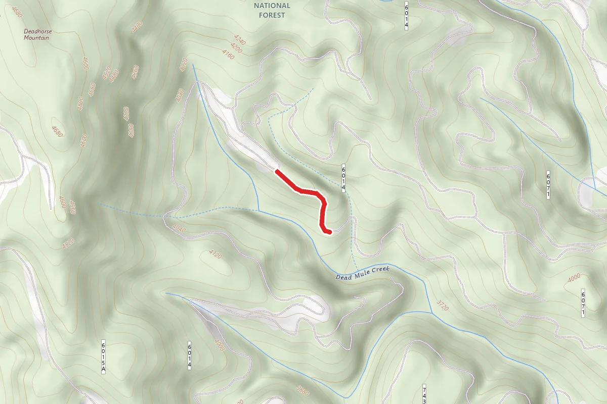 Deadhorse Creek C