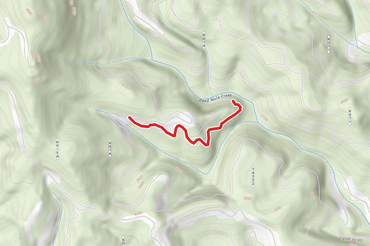Deadhorse Creek D