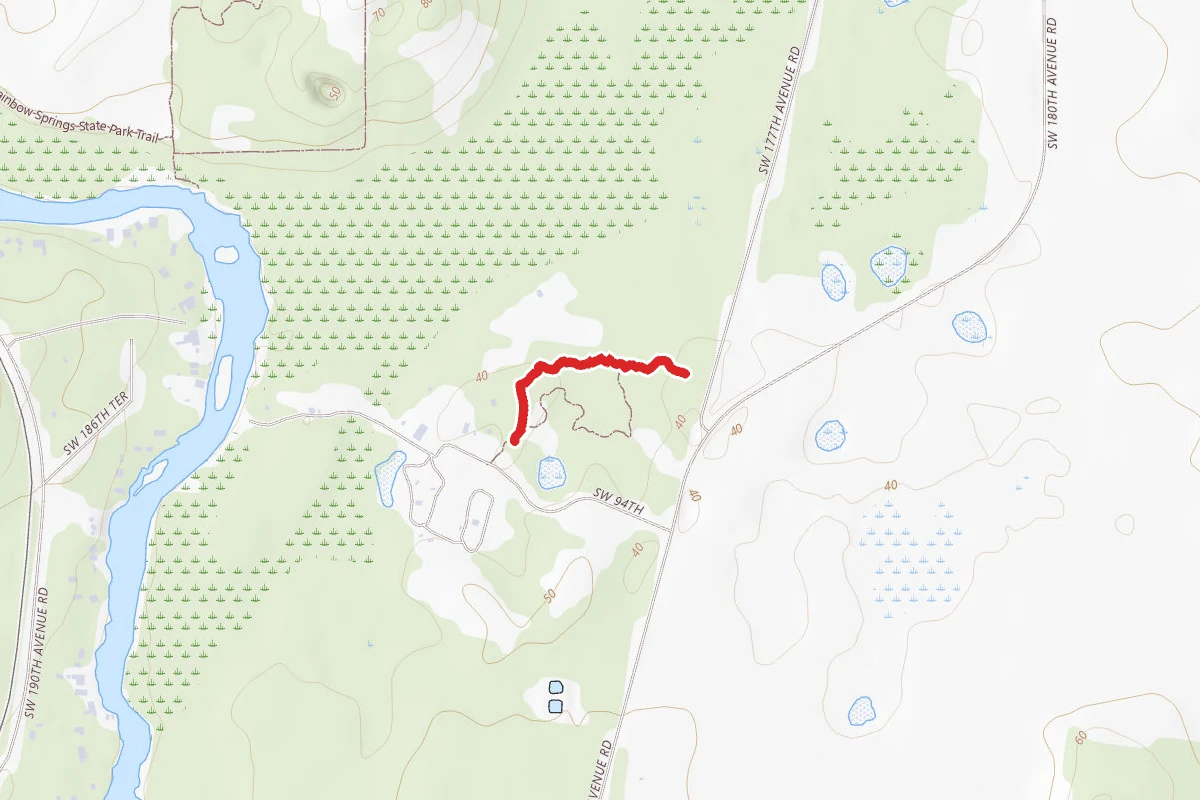 Brown Trail