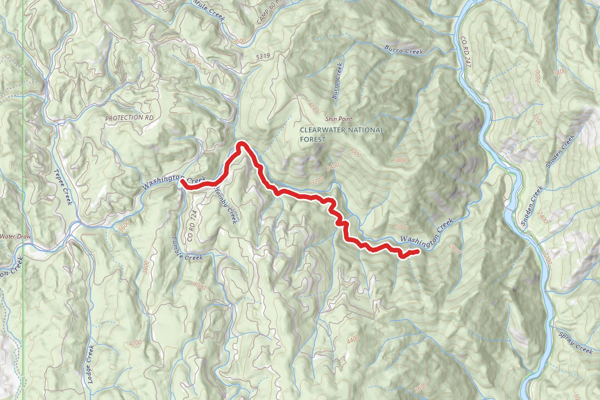 Washington Creek