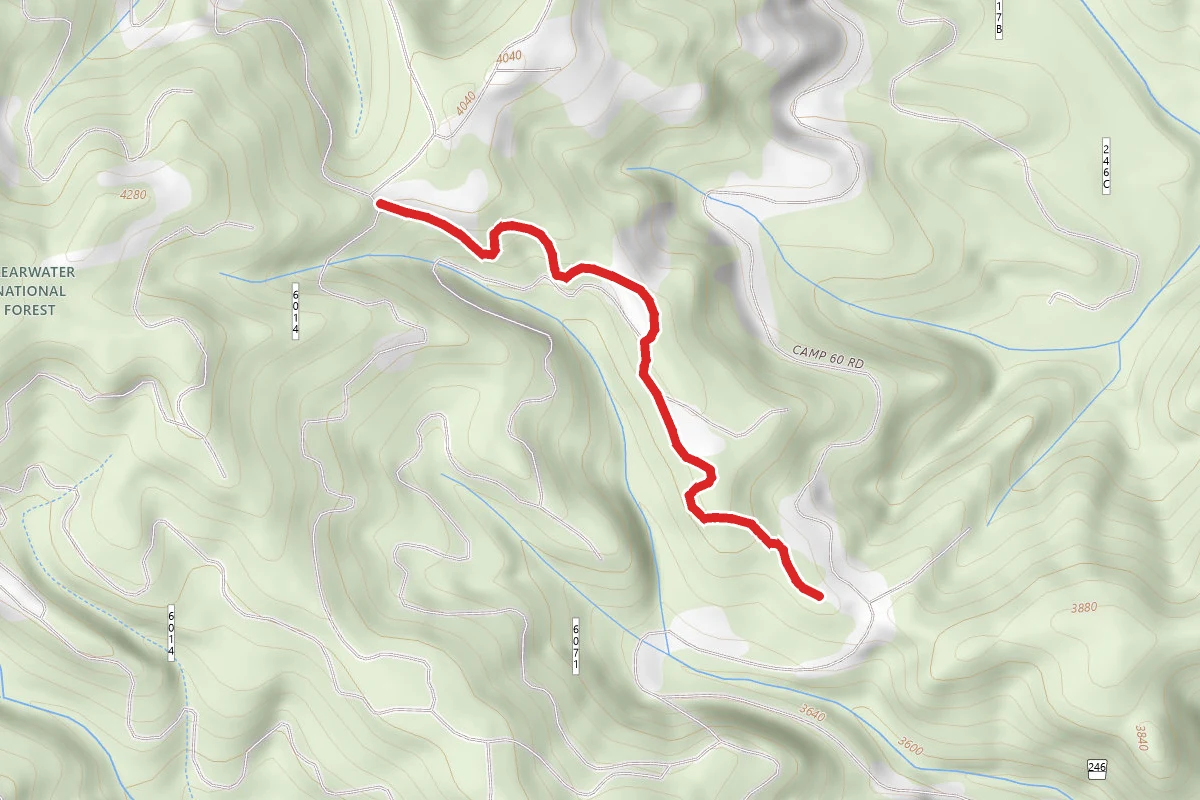 Jackass Ridge