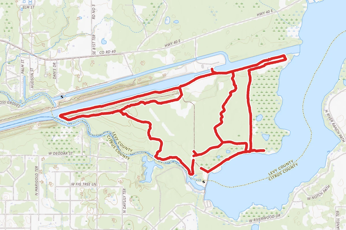 Inglis Island