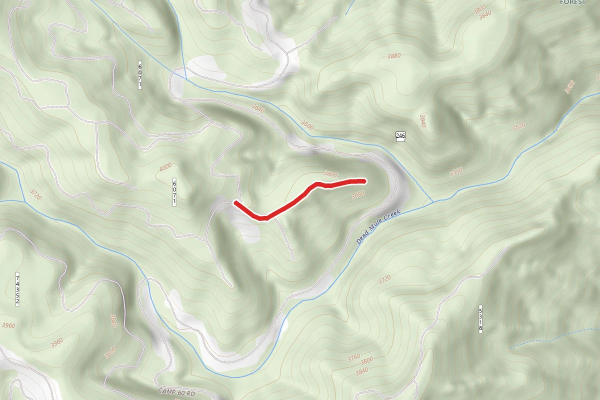 Donkey Ridge