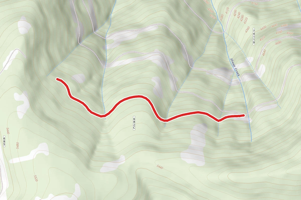 June Saddle C