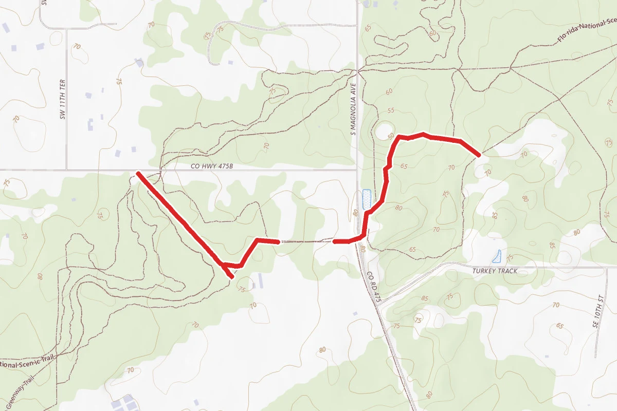 Trail #3
