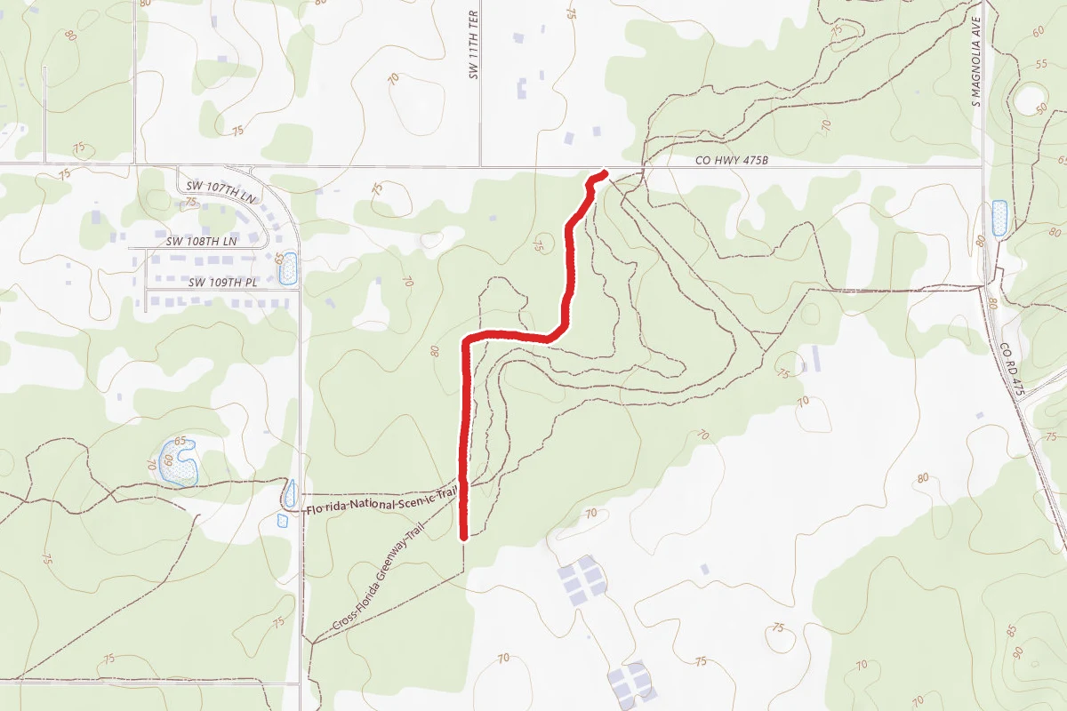 Trail #3