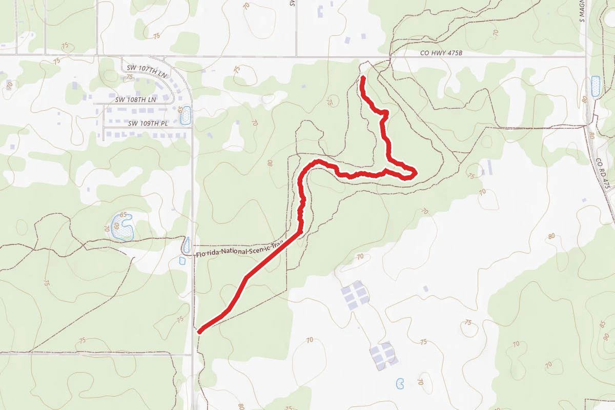 Horse Park Trail