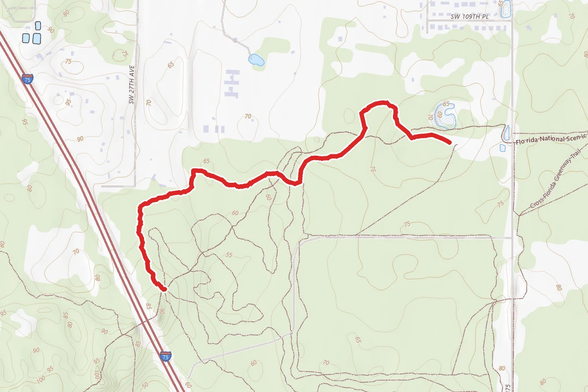 Trail #1