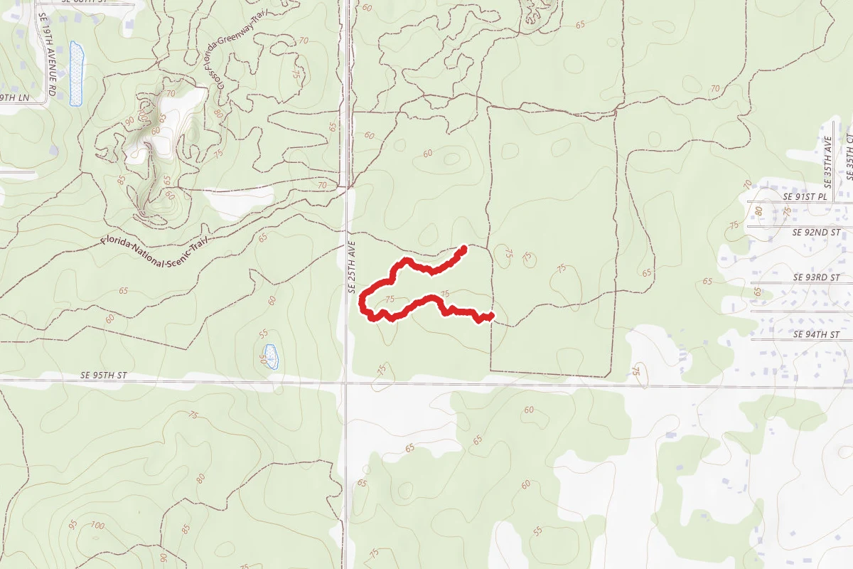 Trail #1