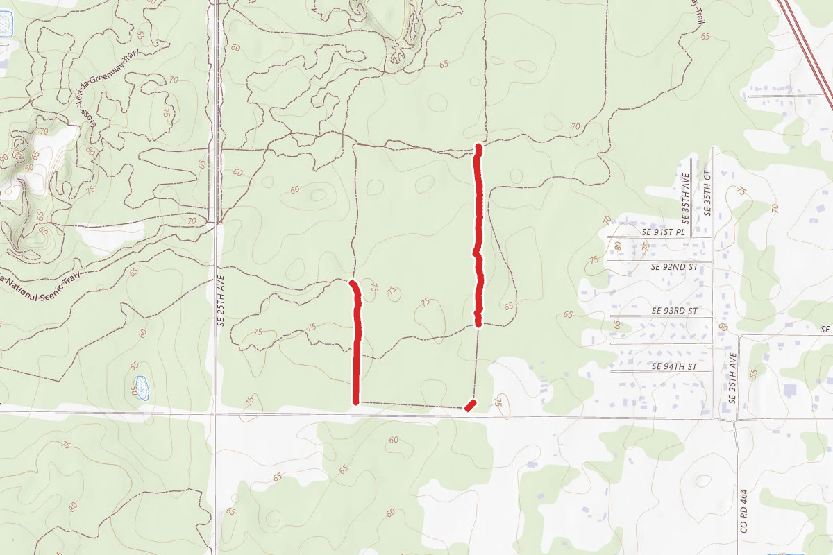 Trail #1