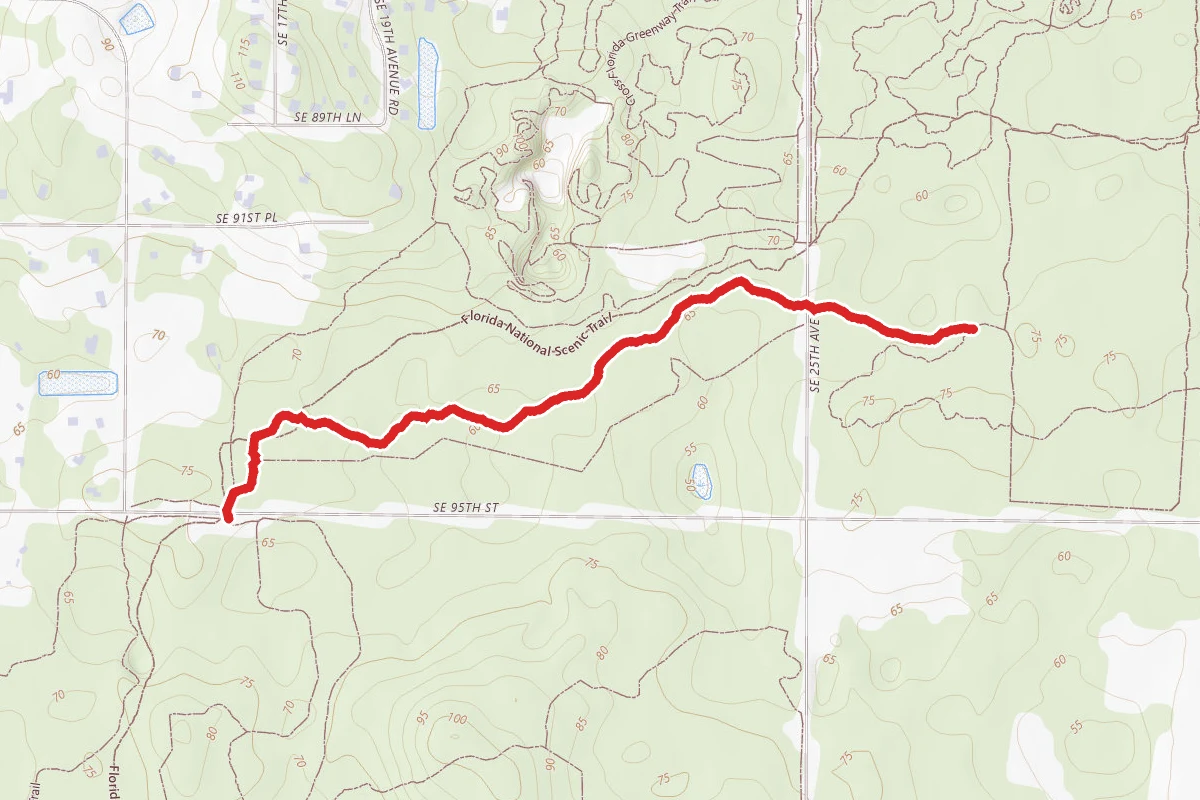 Trail #3