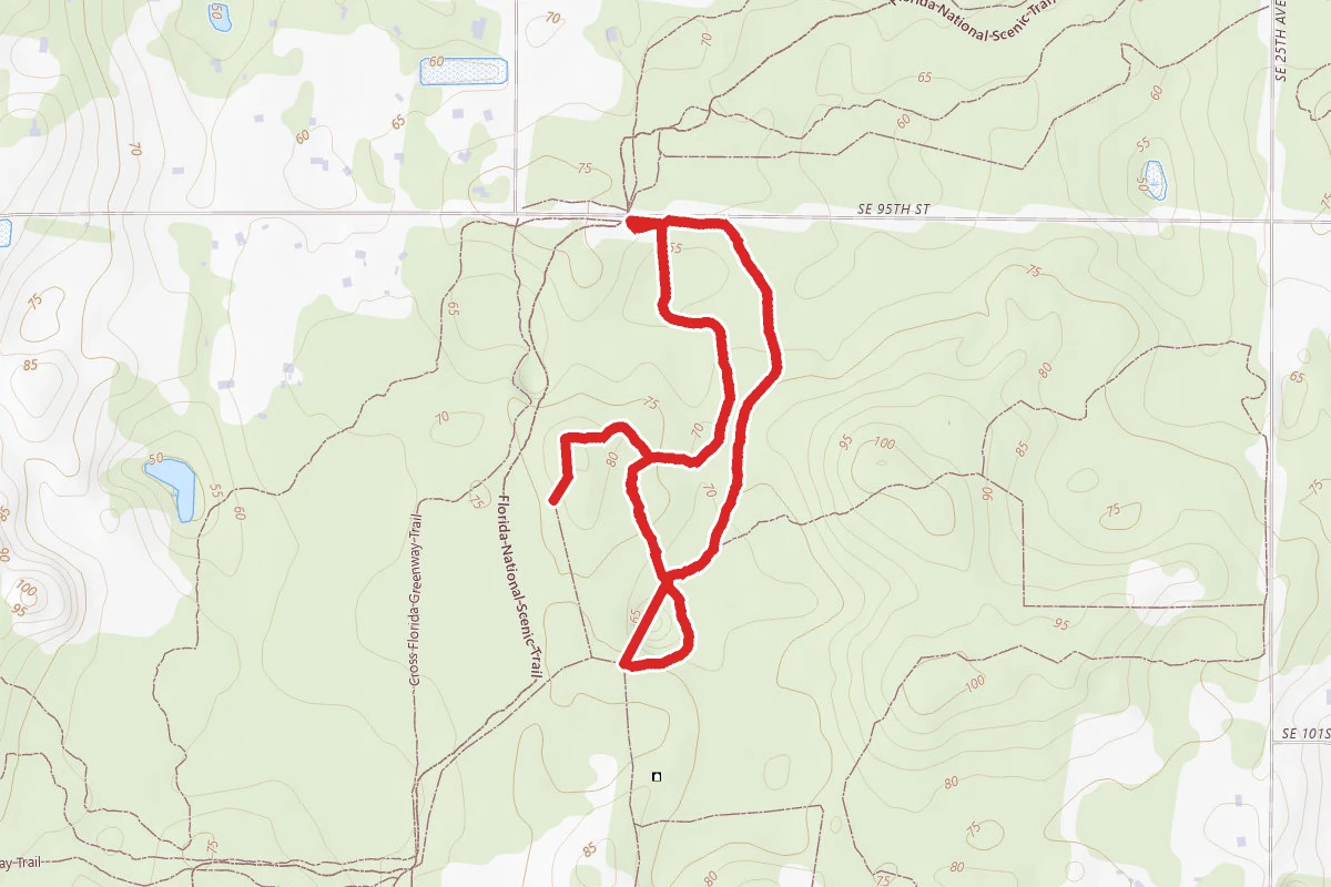 Trail #3