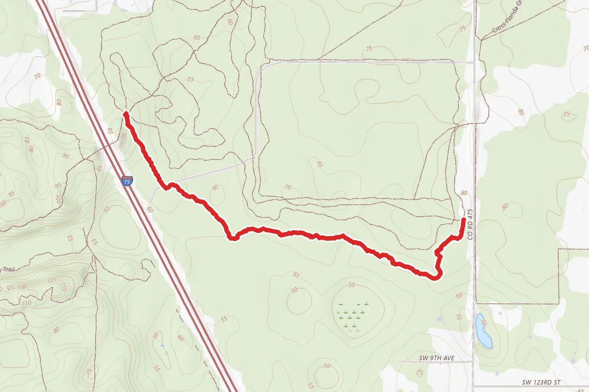 Trail #2