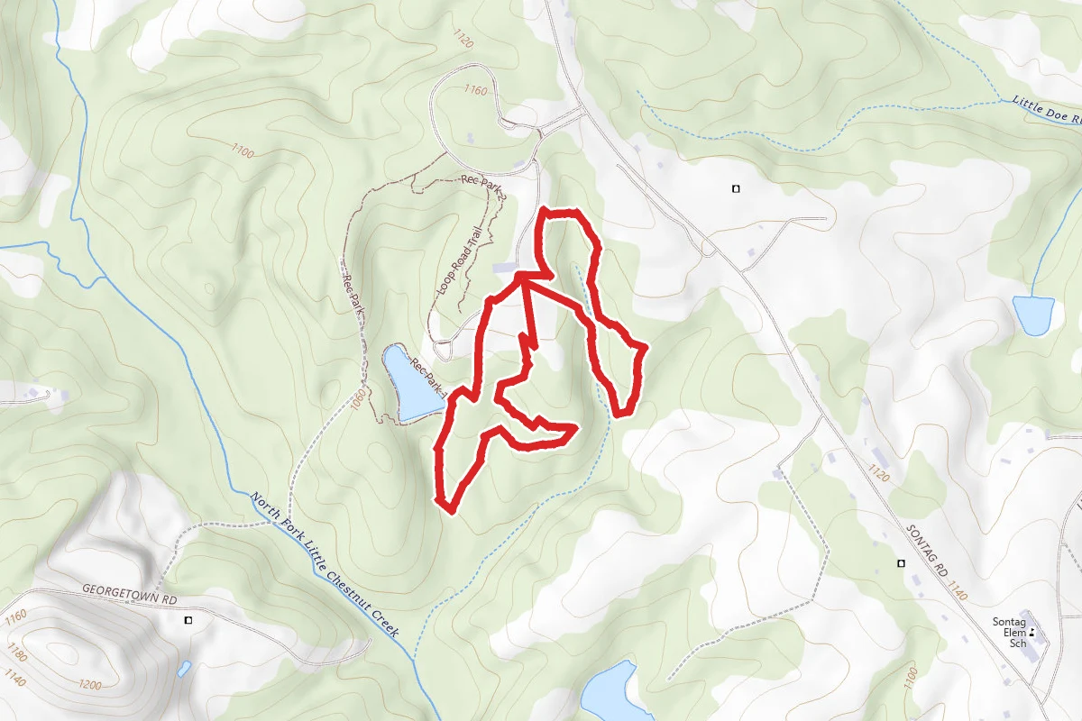Disc Golf Trail