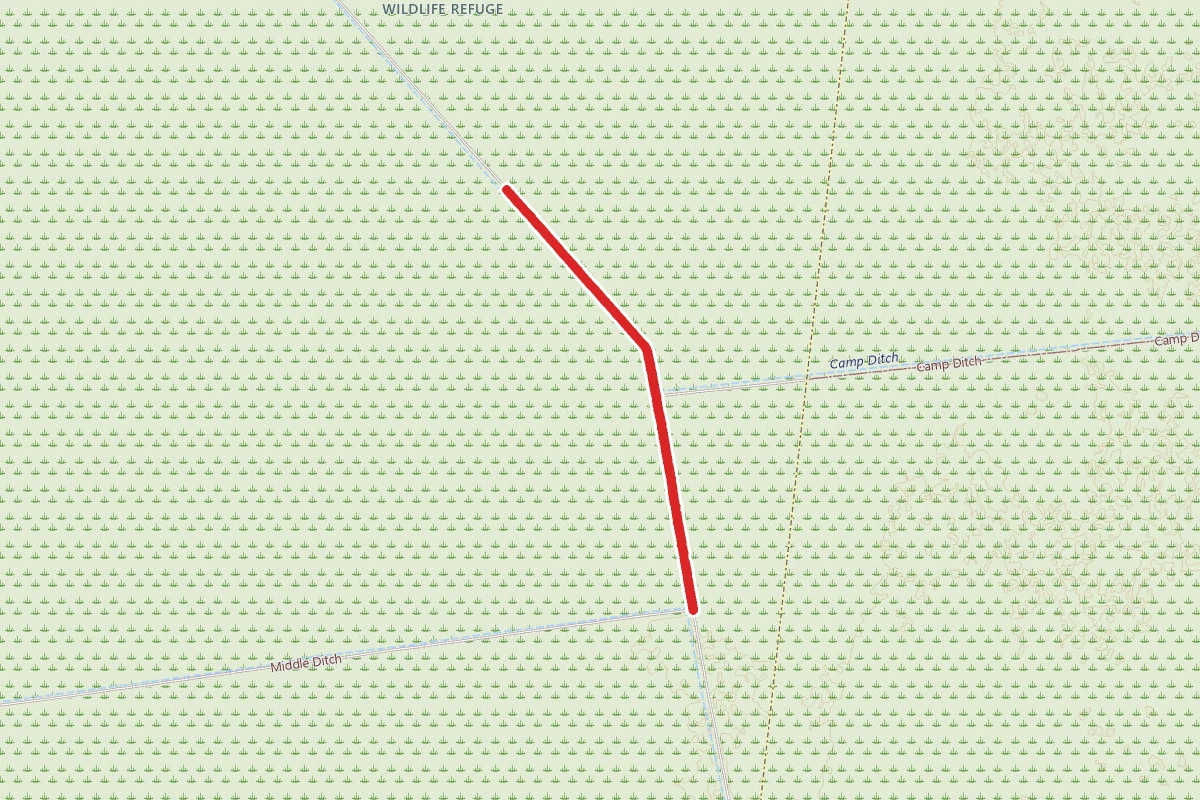 Dismal Swamp Nwr Trails