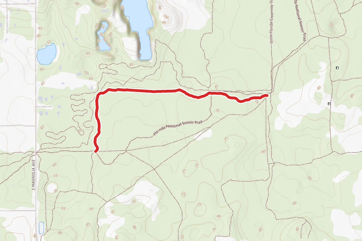 Trail #1