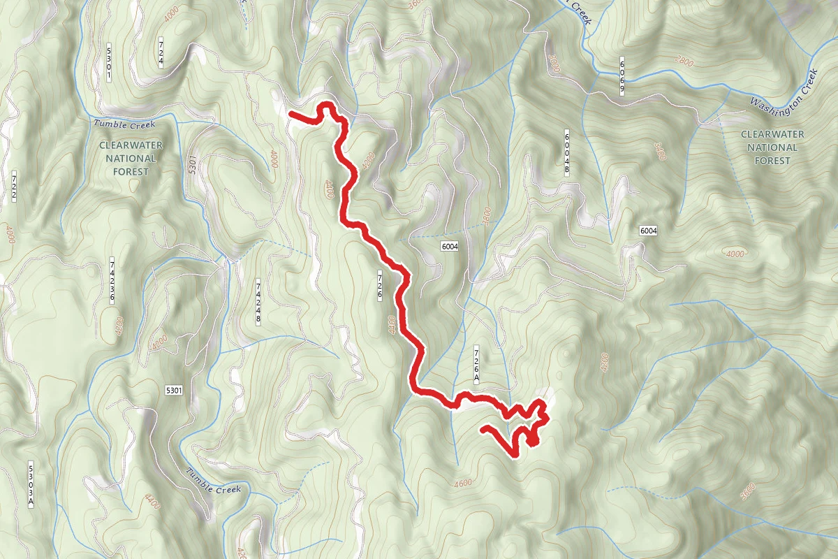 South Washington