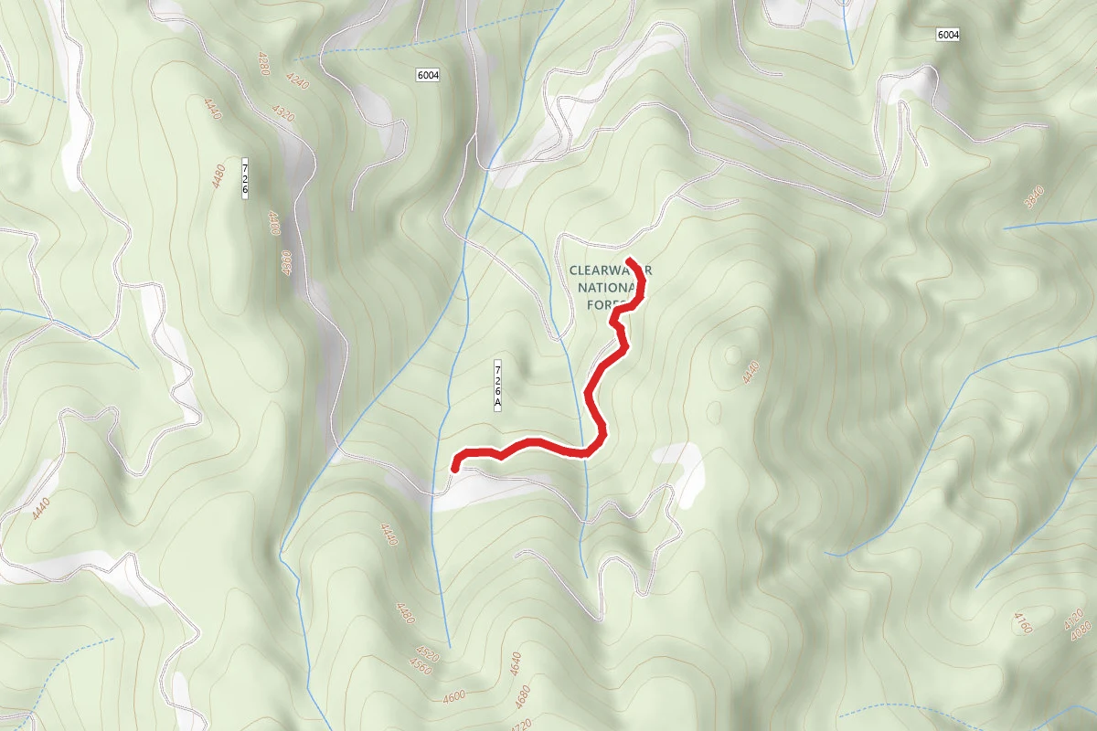 South Washington A