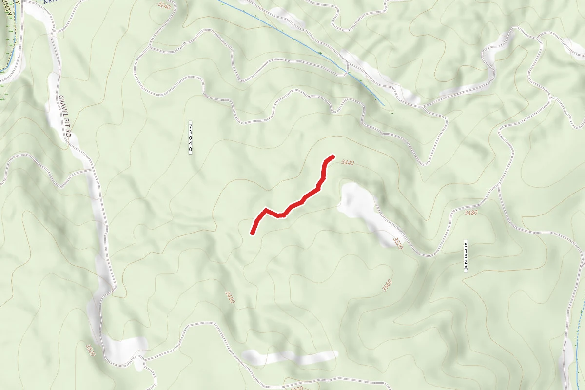 Nevada Creek E