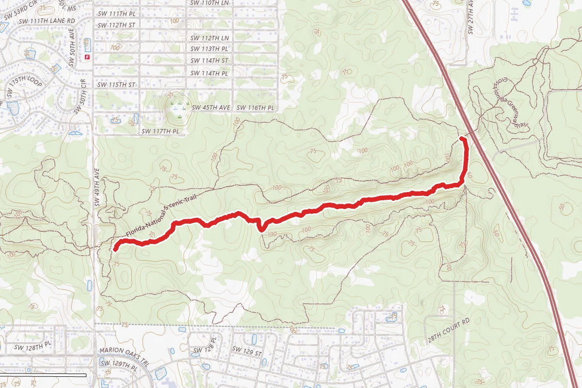 Trail #1