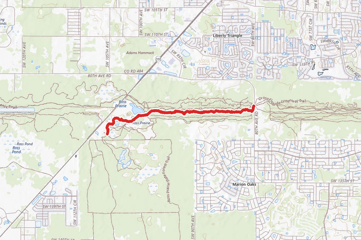 Trail #1