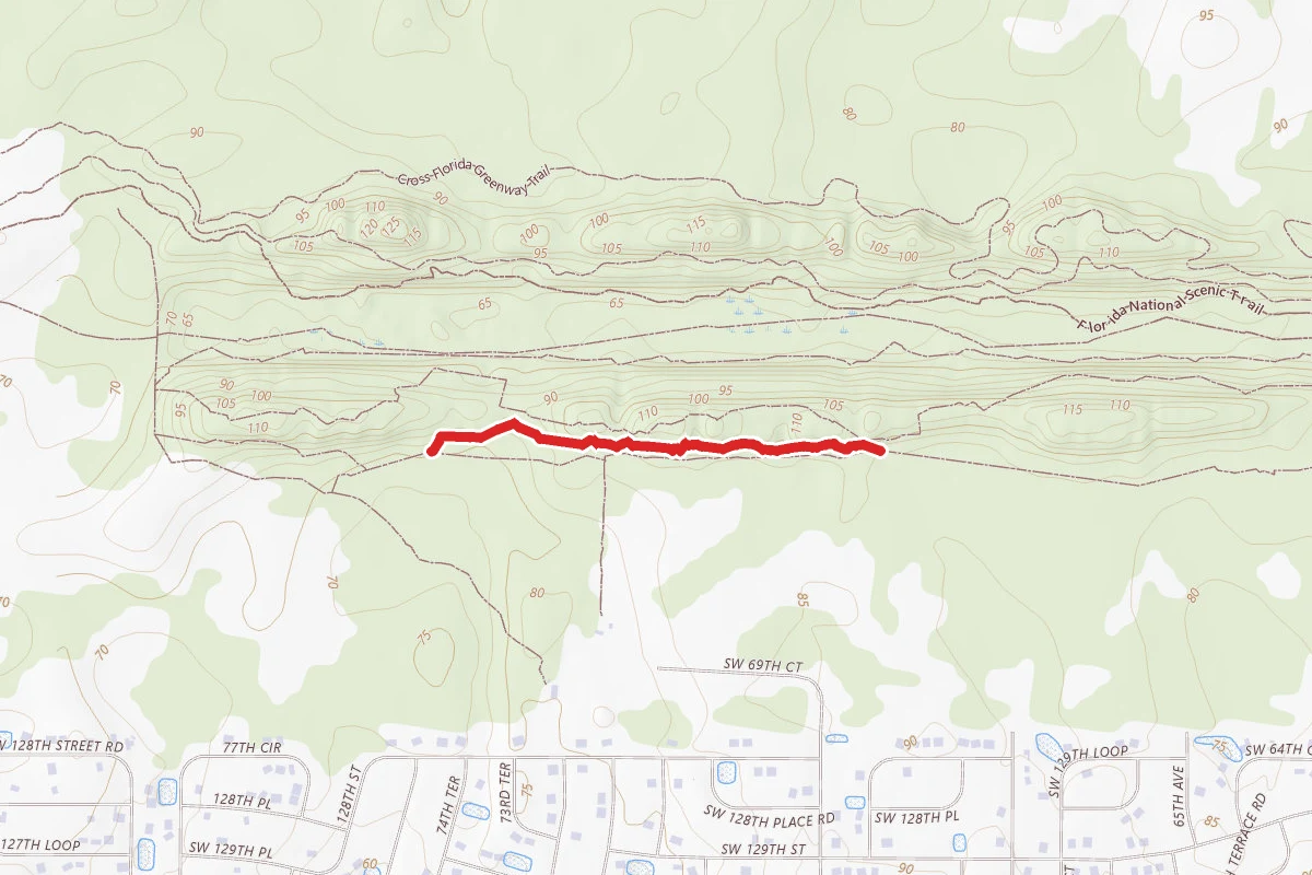 Trail #2