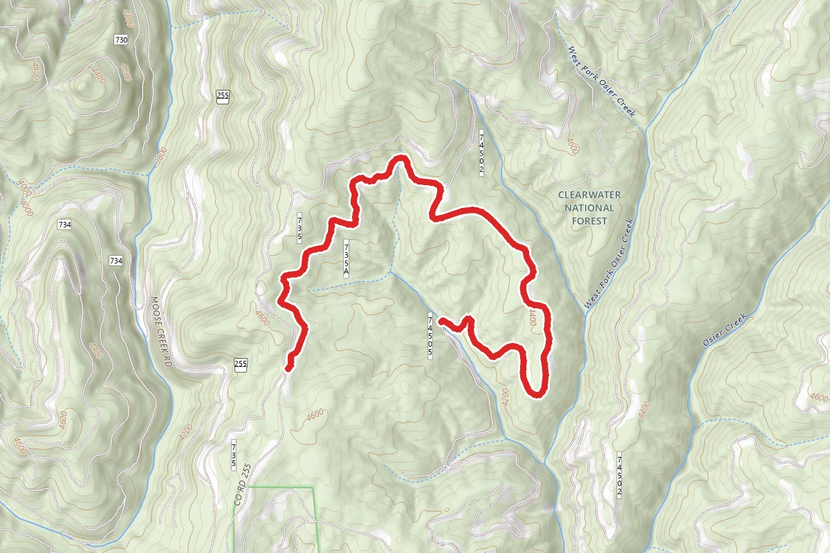 Osier Ridge A