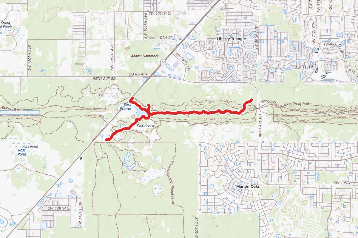 Trail #3