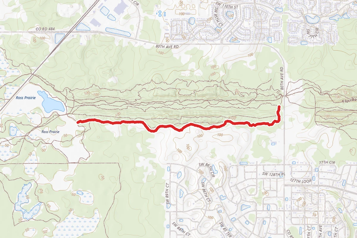 Trail #3
