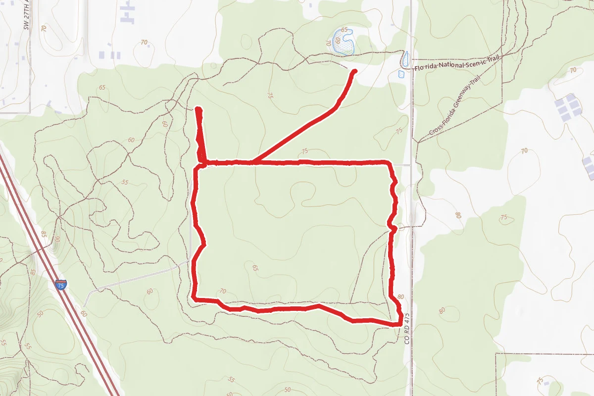 Trail #3