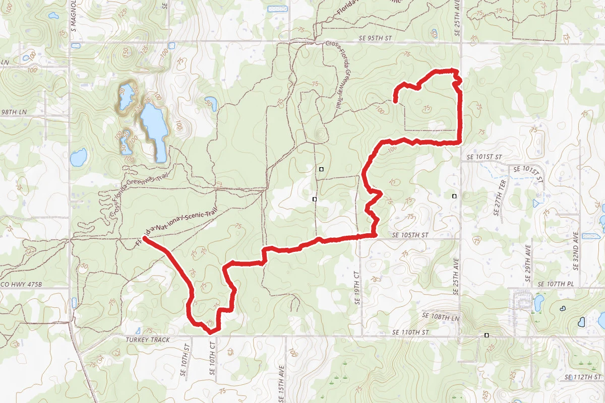 Trail #2