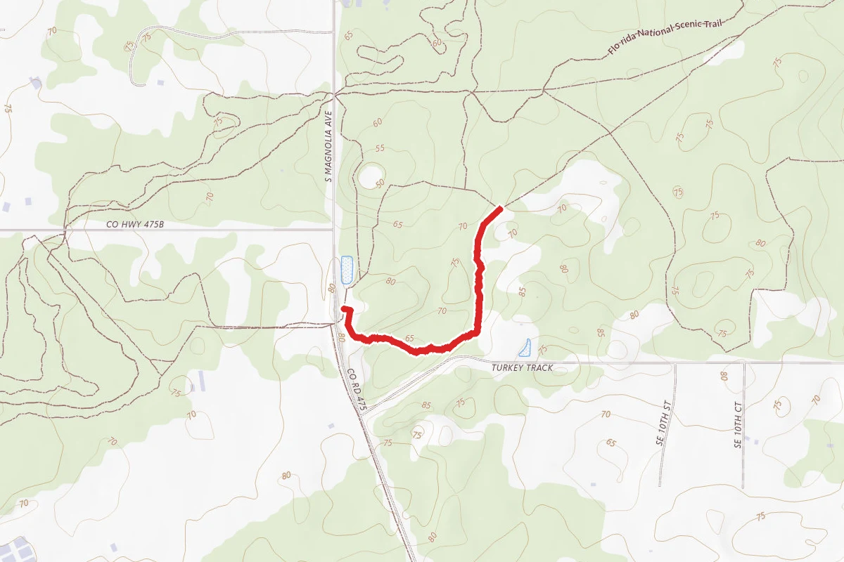 Trail #2