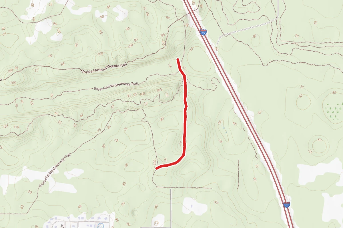 Trail #3