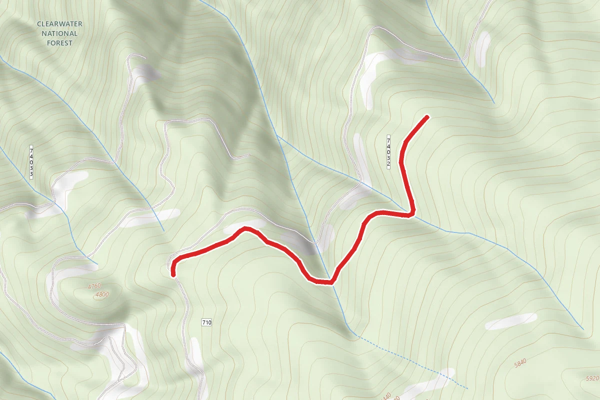 Indian Henry Ridge #1