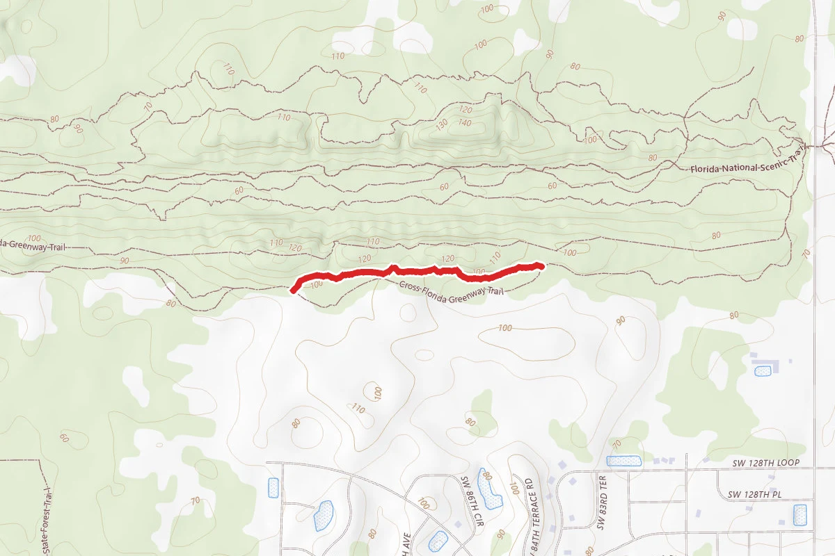 Trail #2
