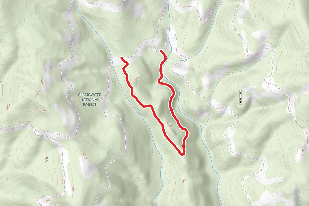 Watt Creek #1