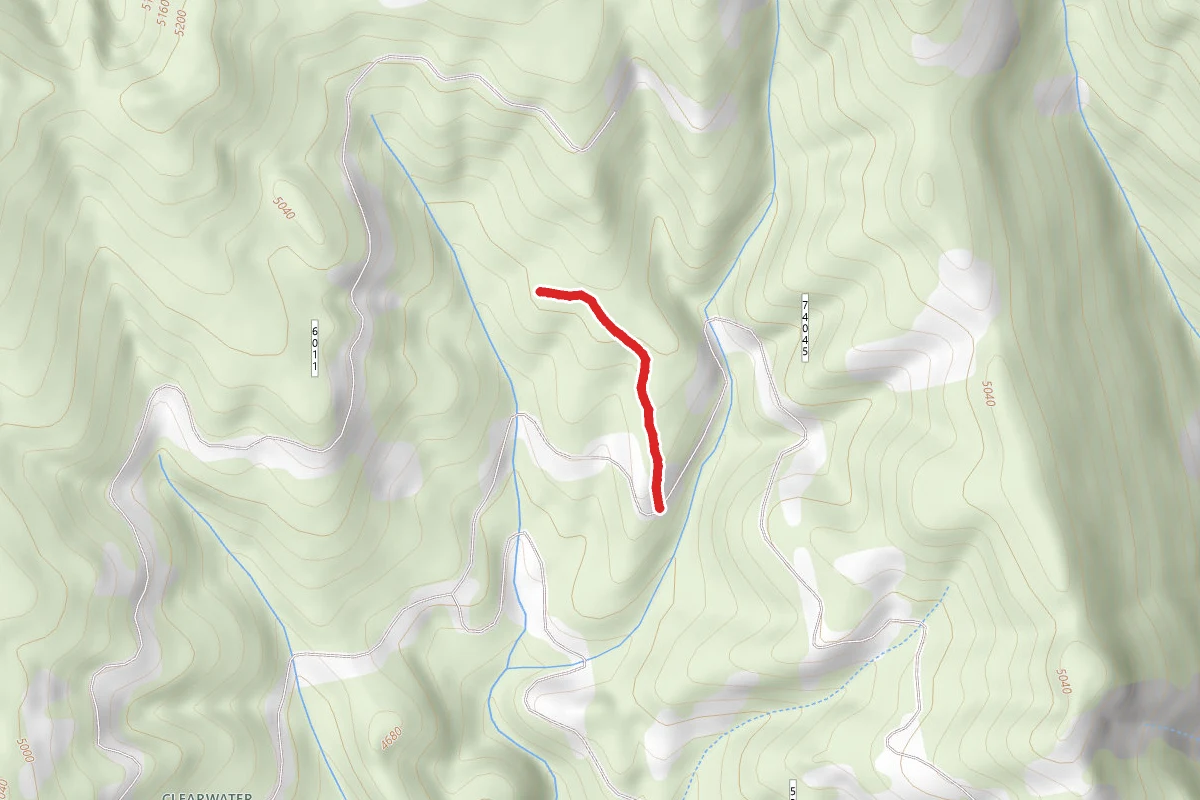 Watt Creek #3