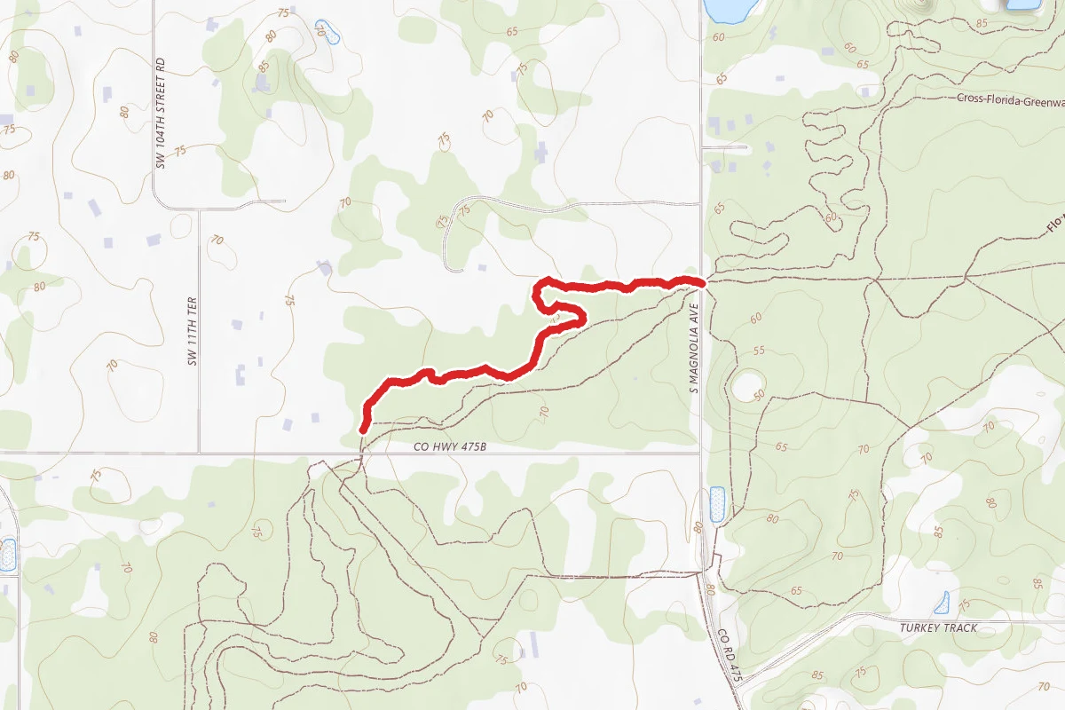 Coyote Corner North